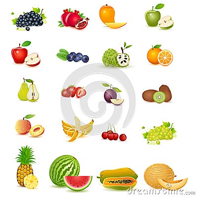 Fresh Fruit Vector Illustration