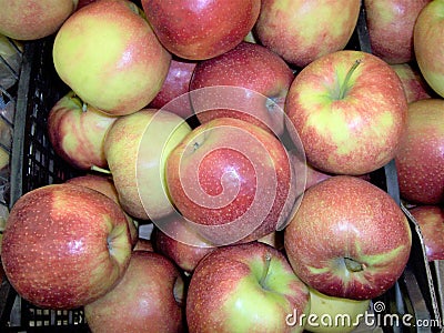 fresh fruit apples fruits of flavovirent color are useful to health many vitamin, juice, Stock Photo