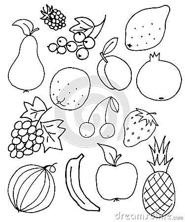 Fresh fruit doodle, sketch background Stock Photo