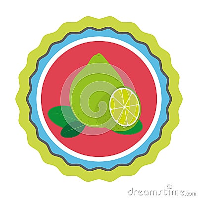 Fresh fruit product seal Vector Illustration