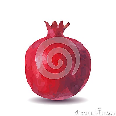 Fresh fruit watercolor pomegranate on a white background Vector Illustration