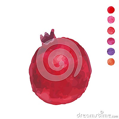 Fresh fruit watercolor pomegranate on a white background Vector Illustration