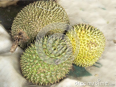 king of fruits, group of Durian Stock Photo