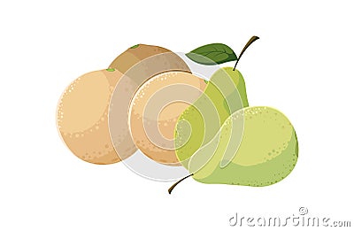 fresh fruits pears and melon Cartoon Illustration