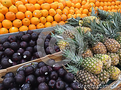 Fresh fruits selling at farmers market Editorial Stock Photo