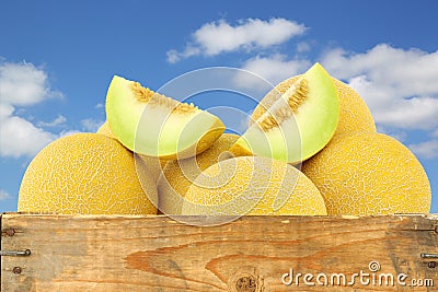 Fresh galia melons and a cut one Stock Photo