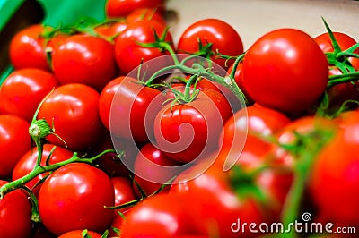 Fresh Garden Tomato Stock Photo