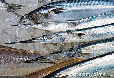 Fresh garfish for sale Stock Photo