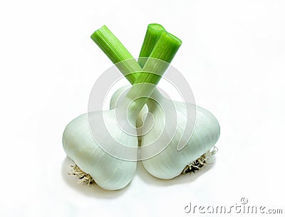 Fresh Garlic Stock Photo