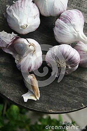 Fresh Garlic From the Garden Kitchen Gousse d`ail fraiches du Jardin bienfaits sur la santÃ© Stock Photo