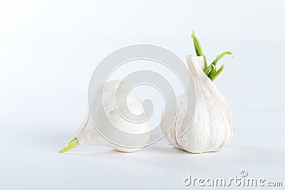 Fresh garlic Stock Photo