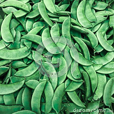 Fresh Geen Broad beans Stock Photo