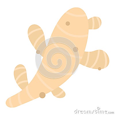 Fresh ginger icon isolated Vector Illustration