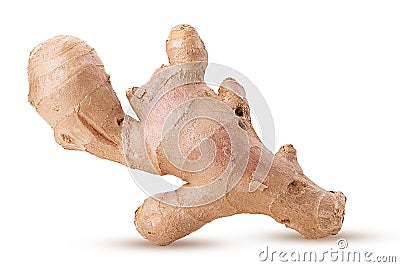 Fresh ginger Stock Photo