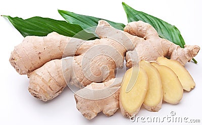 Fresh ginger with leaves. Stock Photo