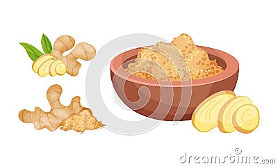 Fresh Ginger Rhizome as Fragrant Kitchen Spice Whole and Powdered in Bowl Vector Set Vector Illustration