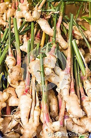 Fresh ginger root at the market Stock Photo