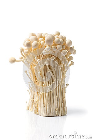 Fresh golden needle mushroom or enoki isolated on white Stock Photo