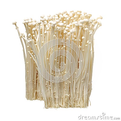 Fresh Golden needle mushroom Stock Photo