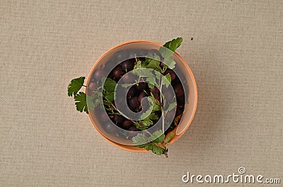 Fresh gooseberry berries in a terracotta bowl on a linen napkin. Stock Photo