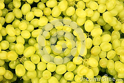 Fresh grapes Stock Photo