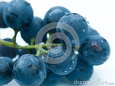 Fresh grapes Stock Photo