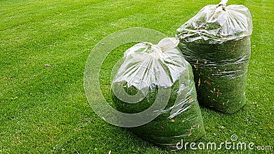 Fresh grass clippings in garbage bag on green grass Stock Photo