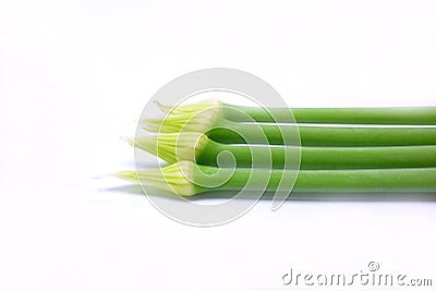 Fresh green Allium Spring Onion Flowers Stock Photo