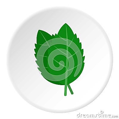 Fresh green basil leaves icon circle Vector Illustration