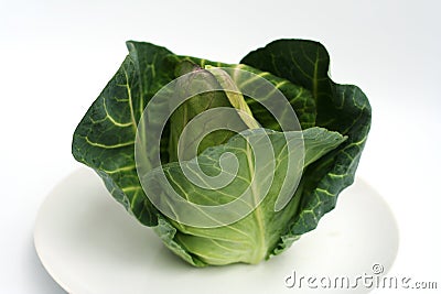 Fresh Green Cabbage Stock Photo