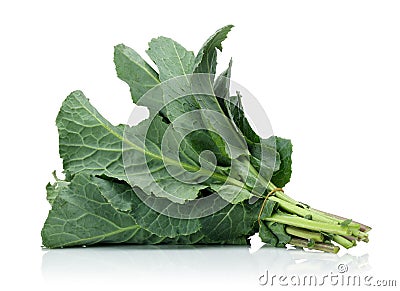 Fresh Green Cabbage Leaf Stock Photo