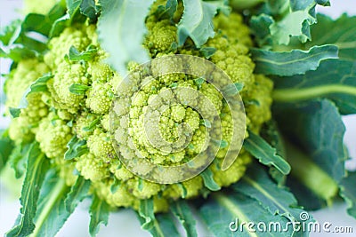 Fresh green cauliflower romanesco closeup Stock Photo