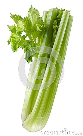 Fresh green celery isolated on white Stock Photo