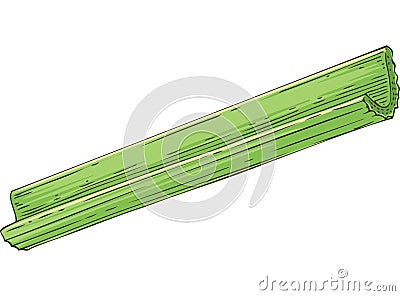 Fresh Green Celery Stick Stock Photo