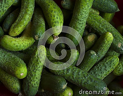 Fresh green cucumber - background Stock Photo