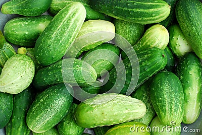 Fresh green cucumber collection outdoor macro Stock Photo