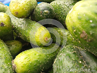 Fresh green cucumber collection outdoor on marke Stock Photo