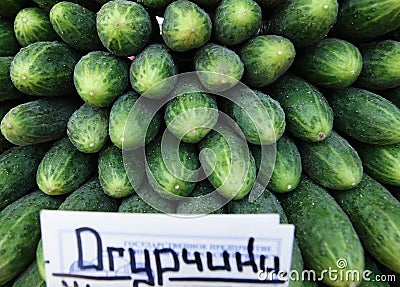 Fresh green cucumber collection outdoor on market Stock Photo