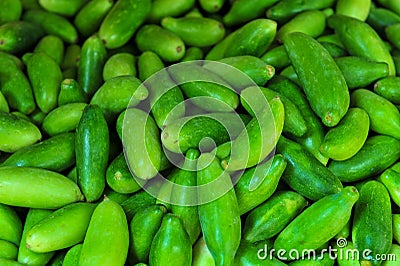 Fresh green cucumber collection outdoor Stock Photo