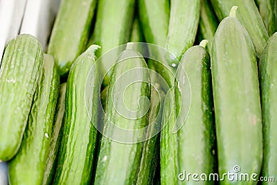 Fresh green cucumber on market macro Stock Photo