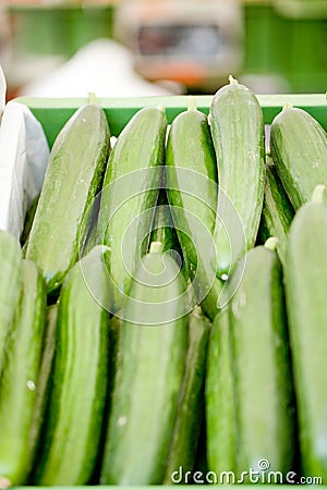 Fresh green cucumber on market macro Stock Photo