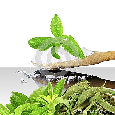 Fresh green and dried Stevia and extract powder on white background Stock Photo