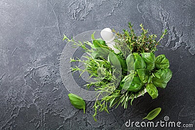 Fresh green garden herbs in mortar bowl on black stone table top view. Thyme, rosemary, basil, and tarragon for cooking. Stock Photo