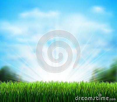 Fresh green glade with grass. Season background with blue sky, sunshine and white fluffy clouds. Vector Illustration