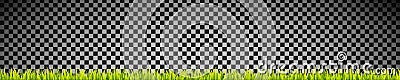 Fresh and green grass banner lines. Vector Illustration