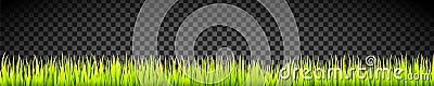 Fresh and green grass banner lines. Herbal growth overlay. Vector Illustration