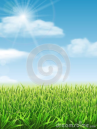 Fresh green grass on the meadow Vector Illustration