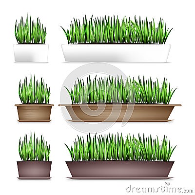 Fresh green grass in a rectangular pots. Element of home decor. The symbol of growth and ecology. Isolated on white Vector Illustration