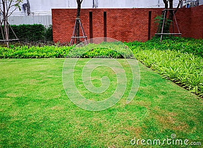 Fresh green grass smooth lawn as a carpet and curve form of bush, orange brick wall and trees on background, good care maintenance Stock Photo