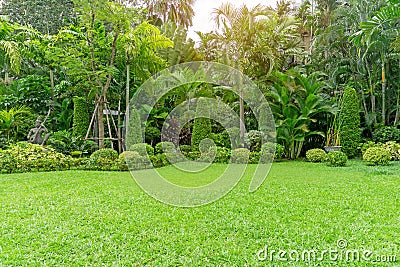 Fresh green grass smooth lawn as a carpet with curve form of bush, trees in a backyard, good maintenance landscapes Stock Photo